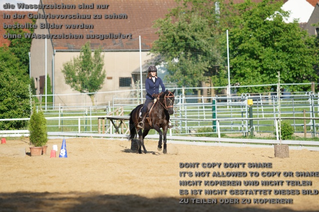 s_K3F05286.JPG